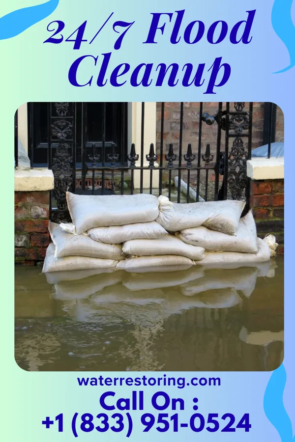 24/7 Flood Cleanup in Tremont, IL