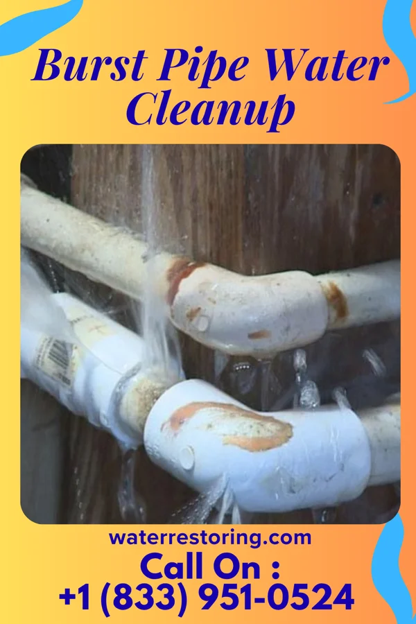Burst Pipe Water Cleanup in Tremont, IL