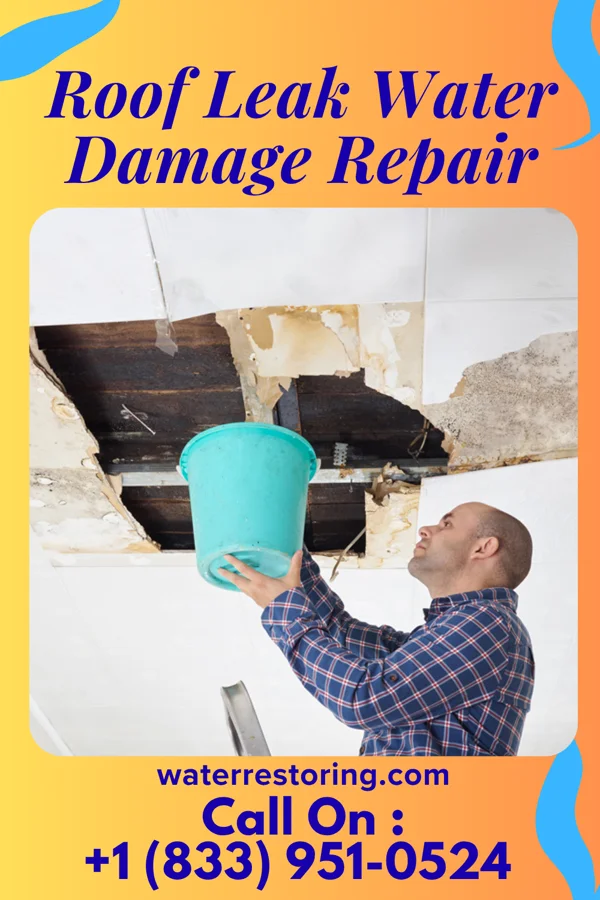Roof Leak Water Damage Repair in Tremont, IL