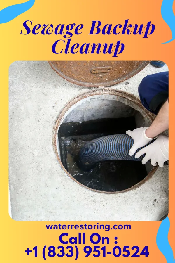 Sewage Backup Cleanup in Tremont, IL