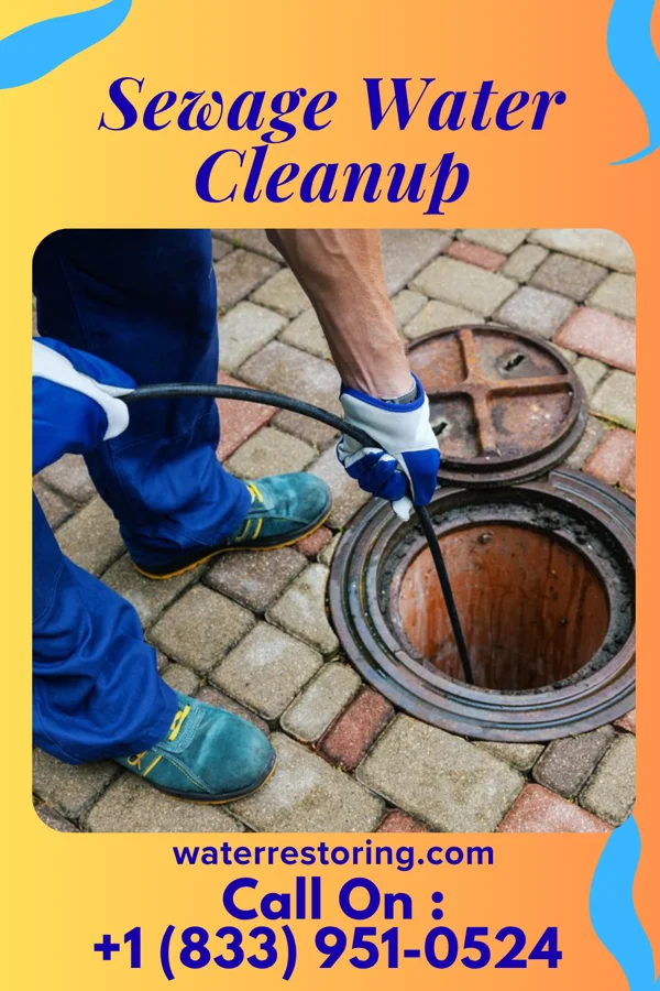 Sewage Water Cleanup in Tremont, IL